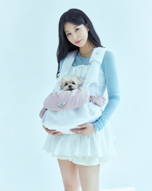即納&予約】《TOMO》Uni Bag Mesh (+ Light Cushion) Mサイズ White