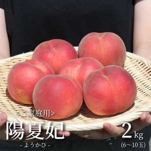 ≪予約受付中≫【ご家庭用はこちらから】ほそかわ農園の「陽夏妃」ご家庭用[2㎏]秋田県横手市十文字町産