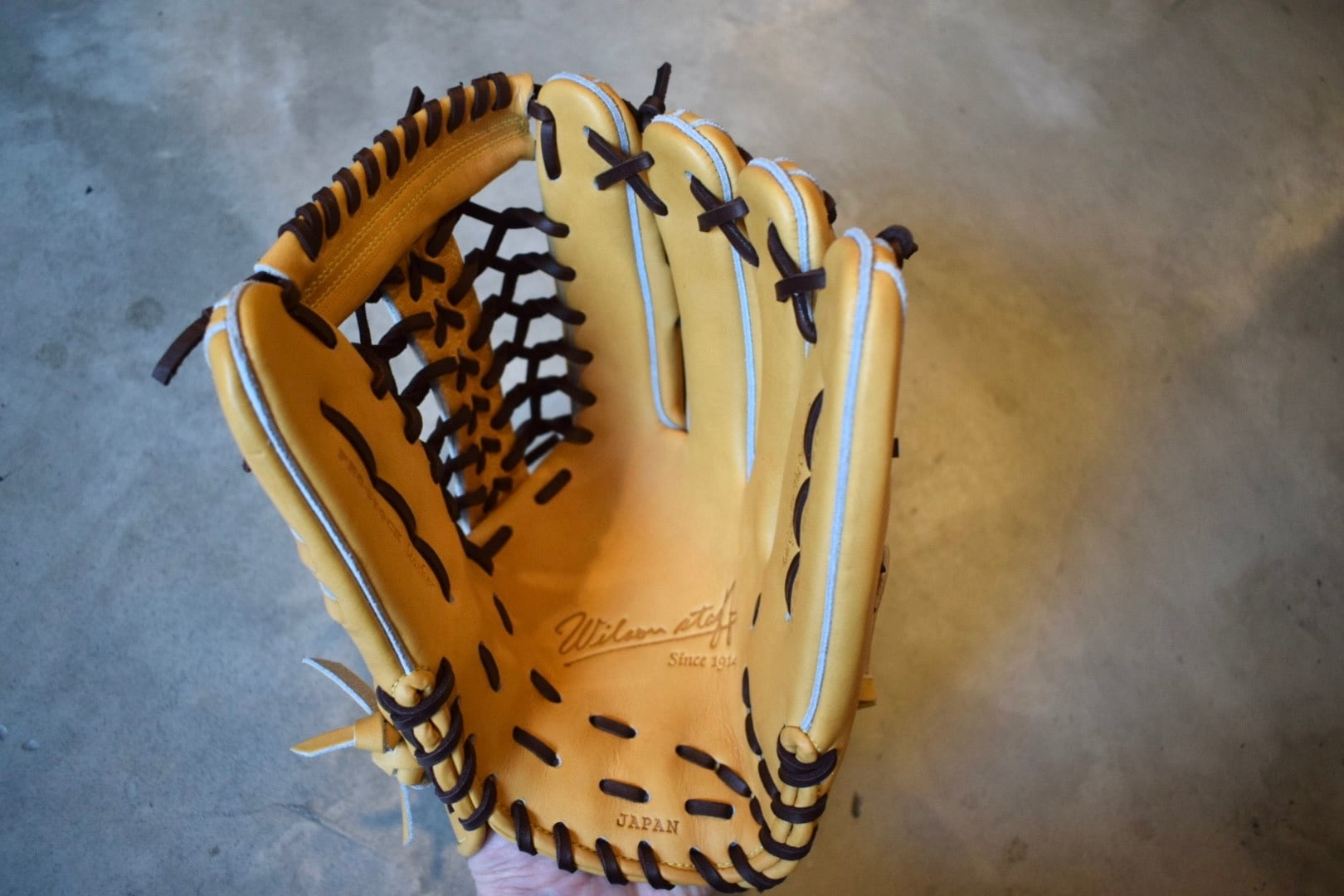 プレミアムキップレザー限定モデル【Wilson】硬式用グローブ D8型