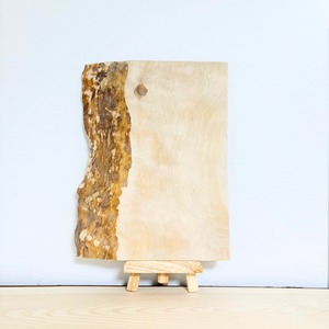 No.1019　カバザクラ