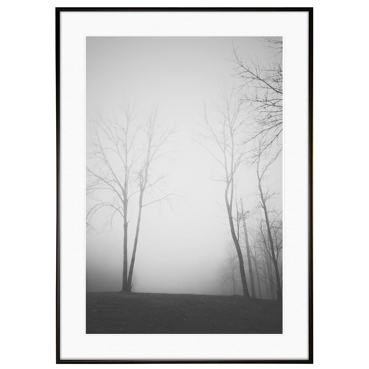冬写真 インテリア モノクロアートポスター額装 AS0983