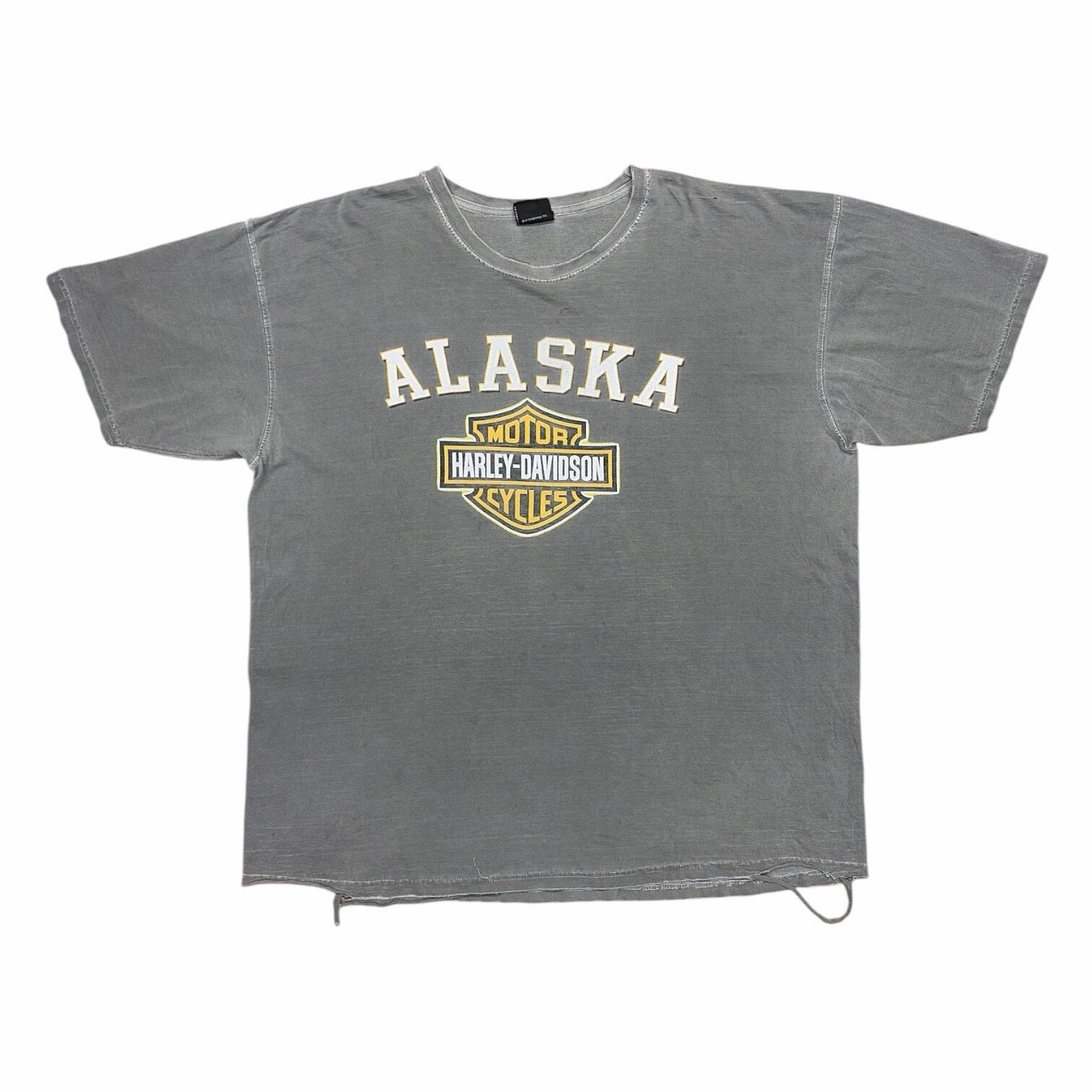 デッドストック Arlen Ness アーレンネス Tシャツ M ハーレー 古着