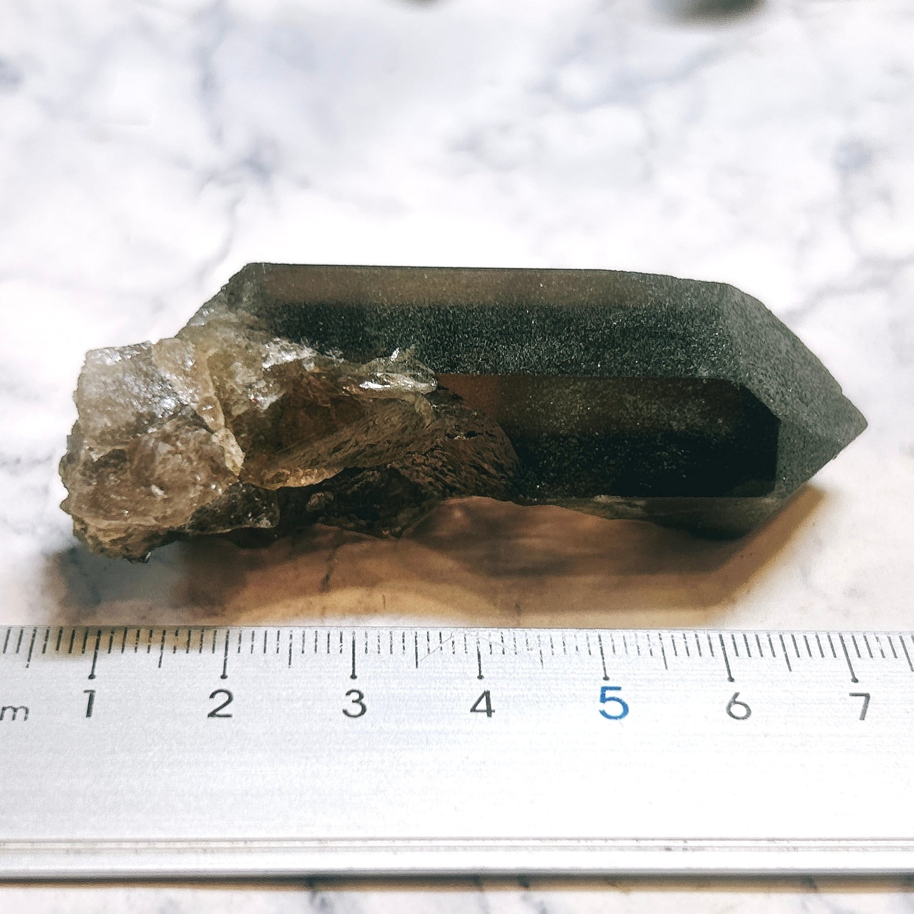 19497】アルプスの煙水晶 スイス アルプス ガレンシュトック産