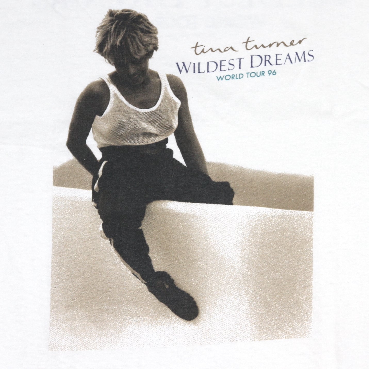 USED【XL】Vintage 90s Tina Turner Wildest Dreams Tour 1996 Tee / Screen Star  ©️1996 | Jubilee Vintage powered by BASE