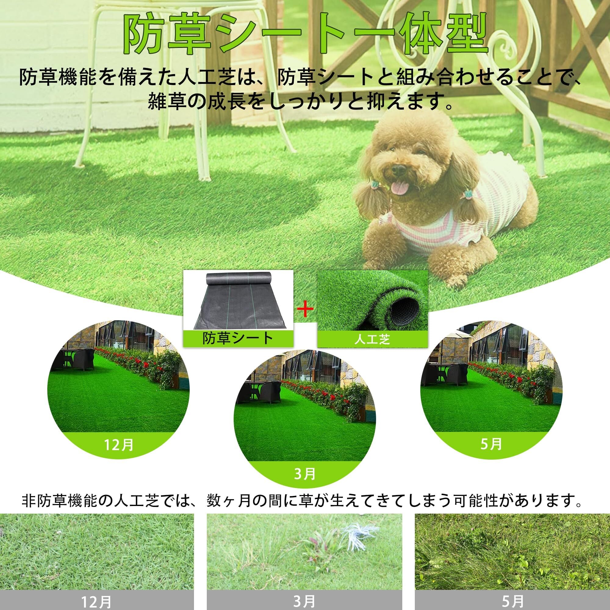 人工芝 ロール 高耐久 リアル 1m×20m 芝丈35mm 密度2倍固定ピン付き