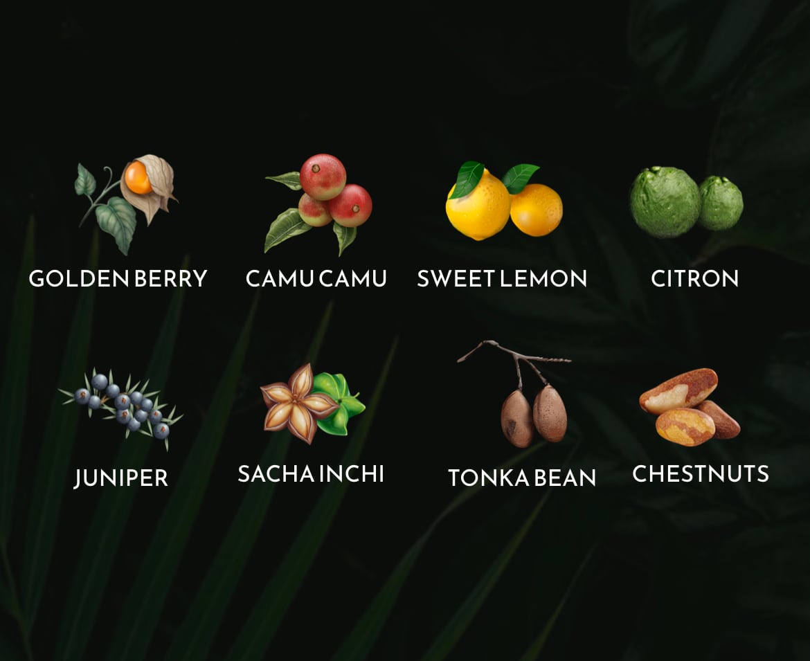 入荷しました!!)アマゾニアンジン by インカ蒸留所 | MOSTO-VERDE TOKYO