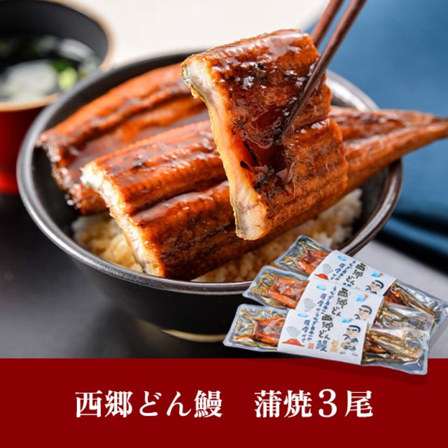 鹿児島県産『西郷どん鰻』３尾（３～６人前）