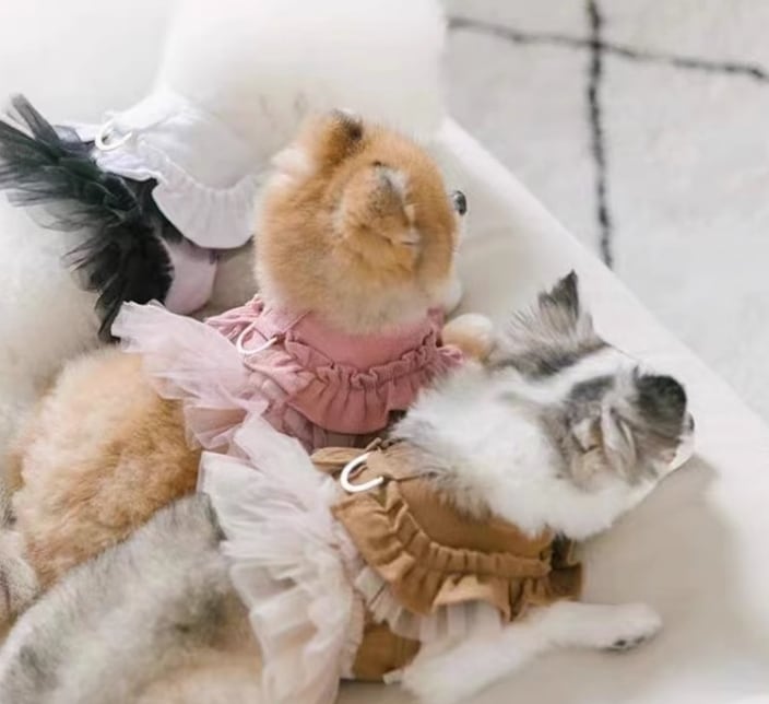 ドッグ 犬 小型犬 ドレス ハーネス 散歩グッズ セミフレア 細身