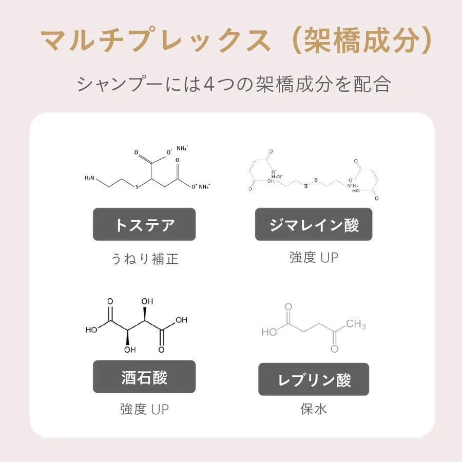 コアプレックス シャンプー400ml / ESTABLISHED（エスタブリッシュ