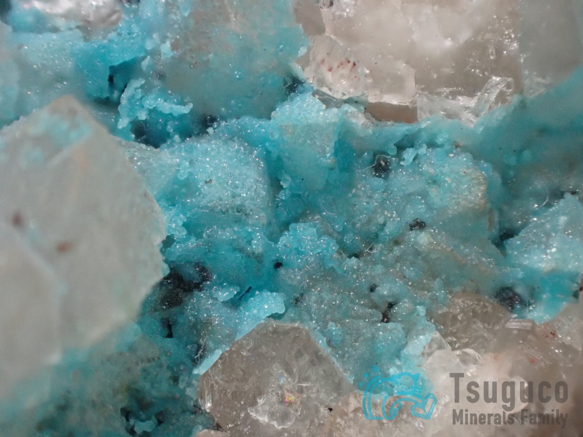 ターコイズ トルコ石 ポルトガル TM-651 | つぐこみねらるず ｜鉱物