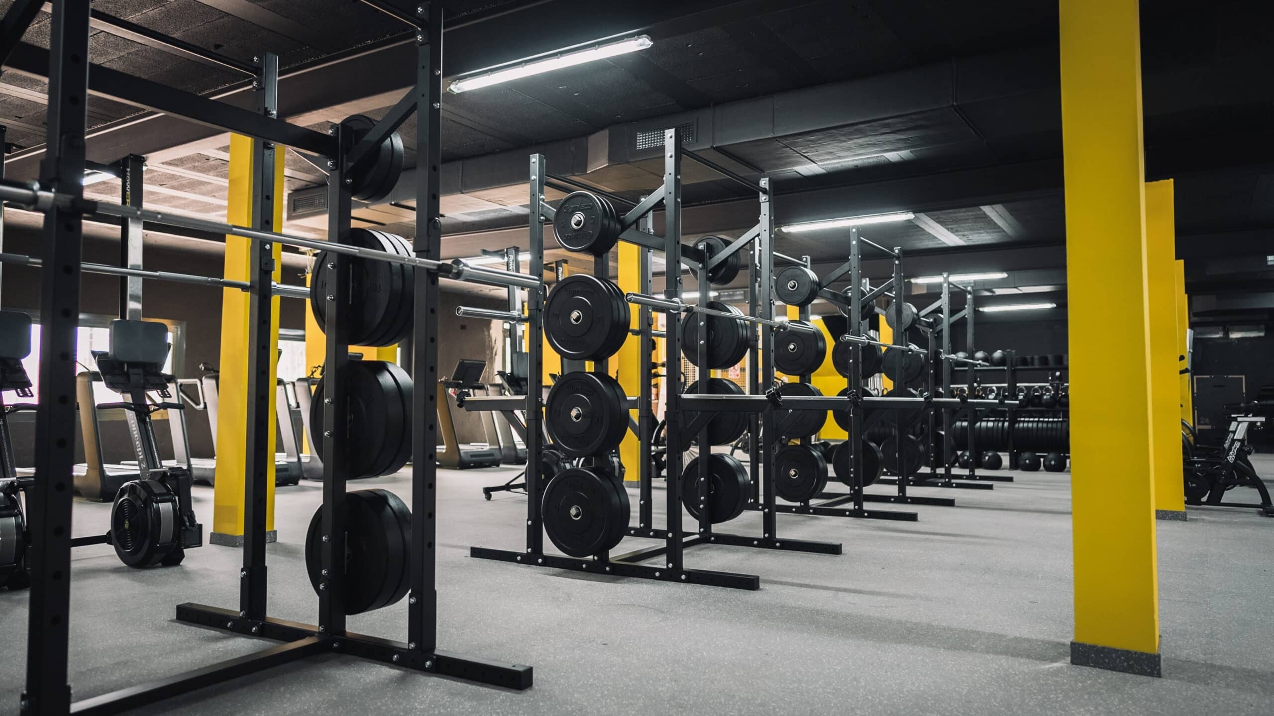 848D 両面ハーフラック | gymlecojapan