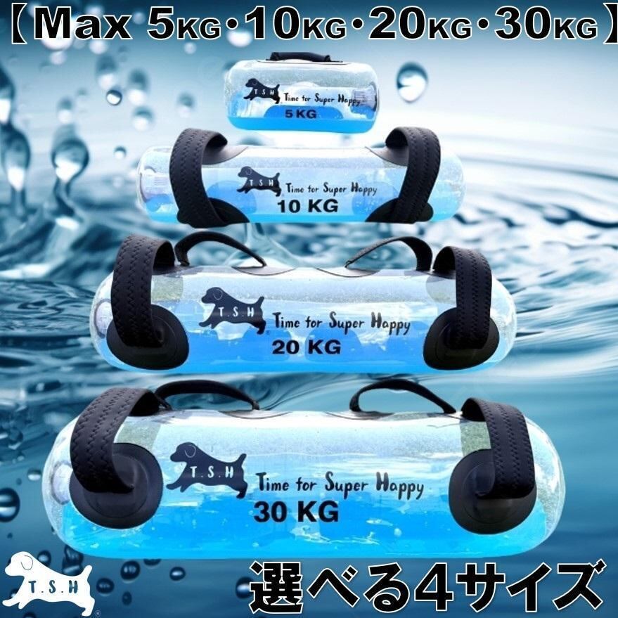 【たーちゃん様３点】　１０ｋｇ　ウォータートレーニングバッグ　専用フットポンプ付 10kg ウォータートレーニングバッグ 専用フットポンプ付き 体幹