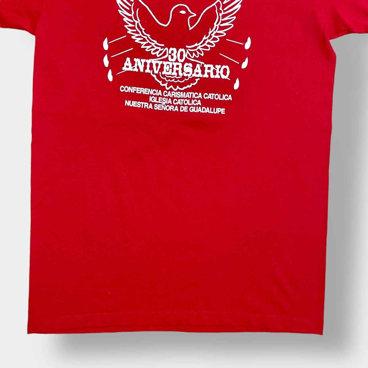 【DUKE】90s USA製 Tシャツ シングルステッチ ビンテージ 英字 ロゴ バックプリント デューク L US古着