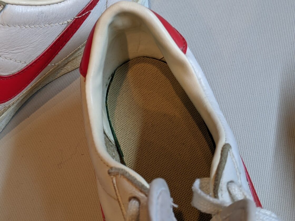 1981