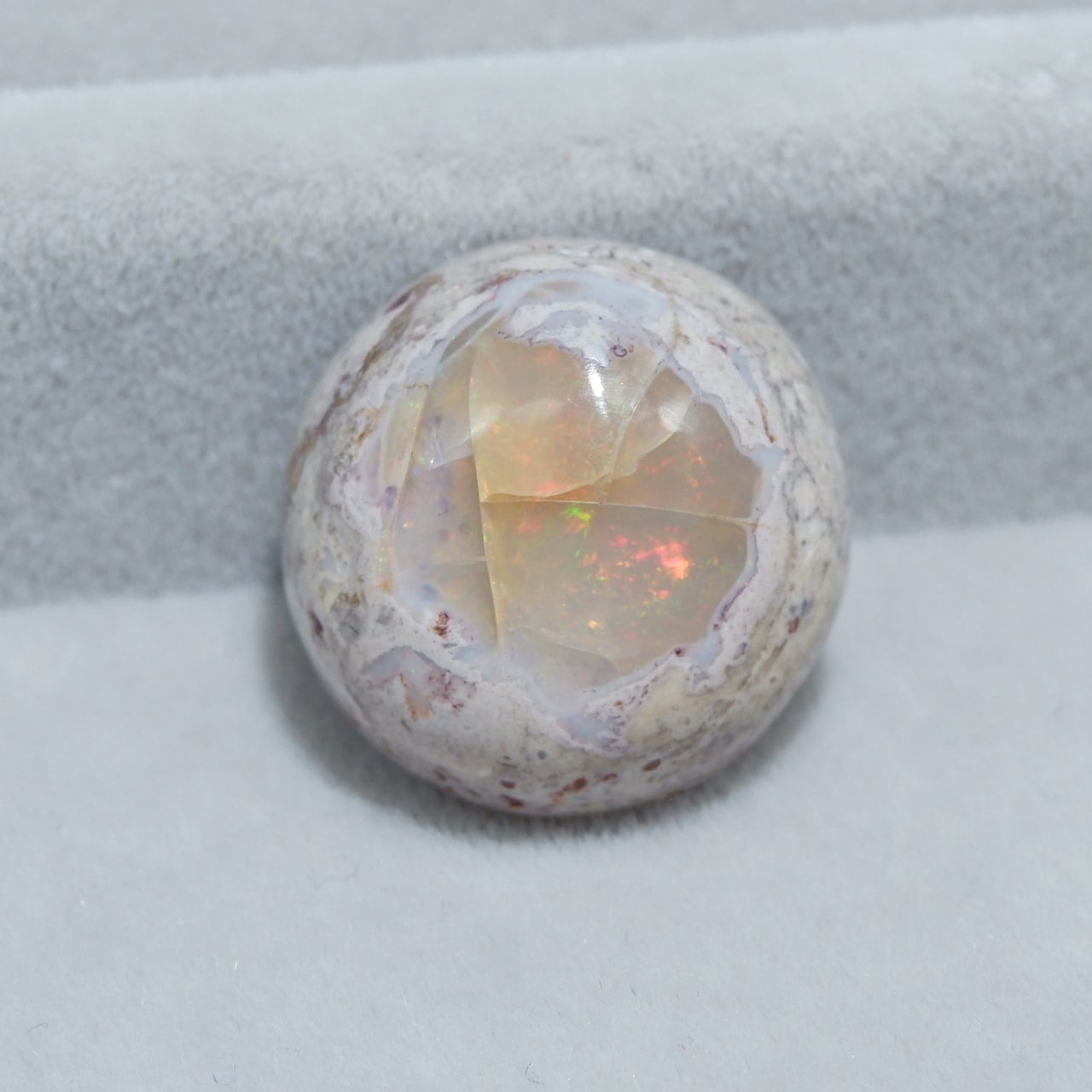 カンテラオパール | 洋灯舎