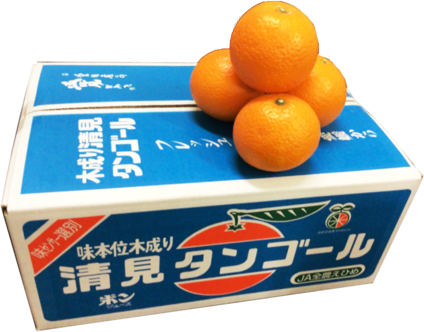 【数量限定!200箱!】蔵出し!追熟清見タンゴール