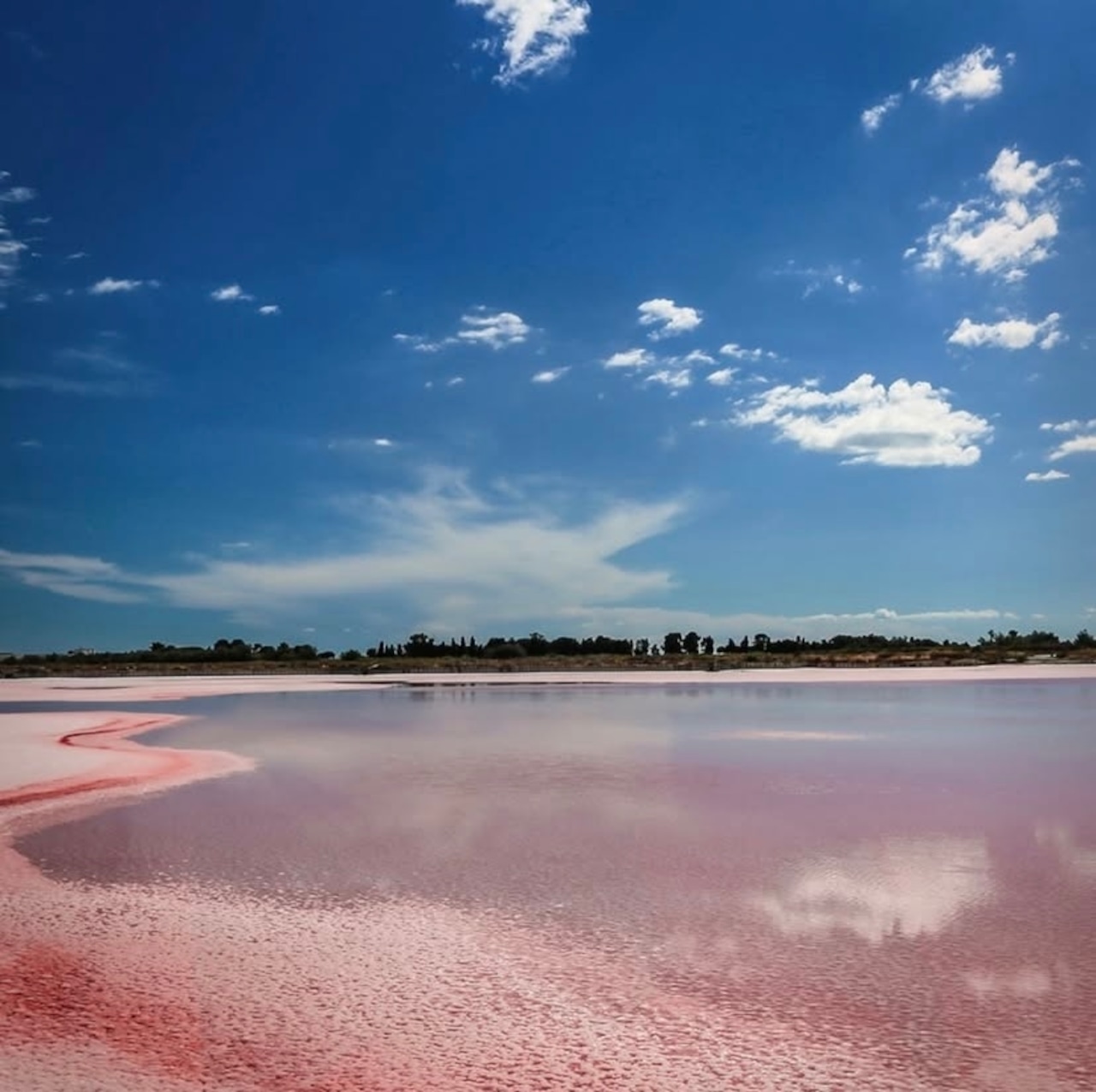 カマルグの塩 フルール・ド・セル プロバンスハーブ