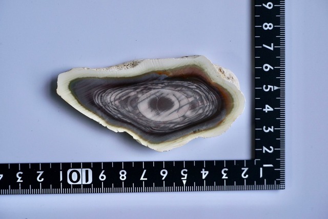 ロイヤルインペリアルジャスパー　Royal Imperial Jasper 20