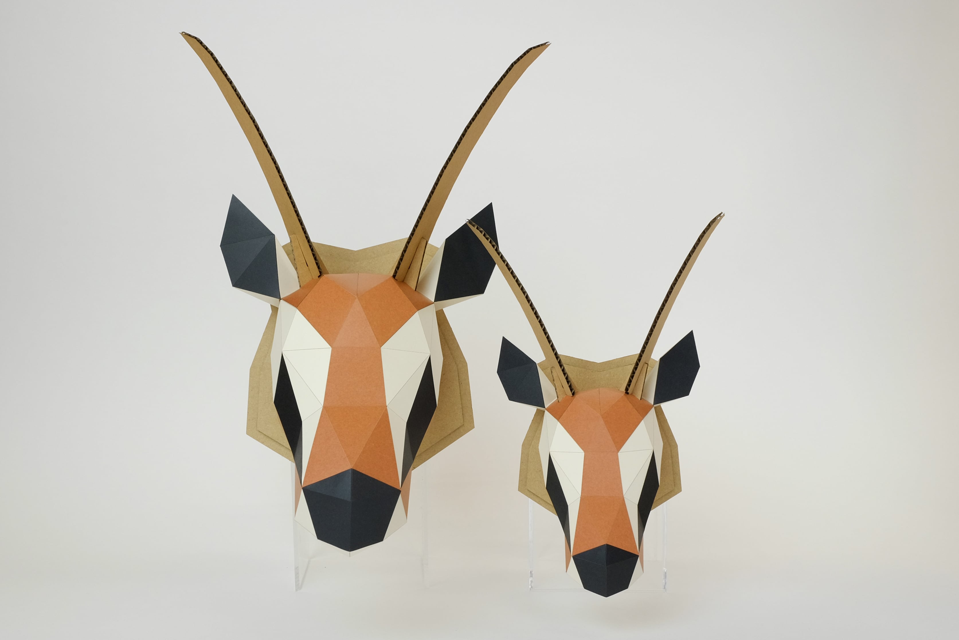 KAKUKAKU WALL / L / GAZELLE | bog craft official store