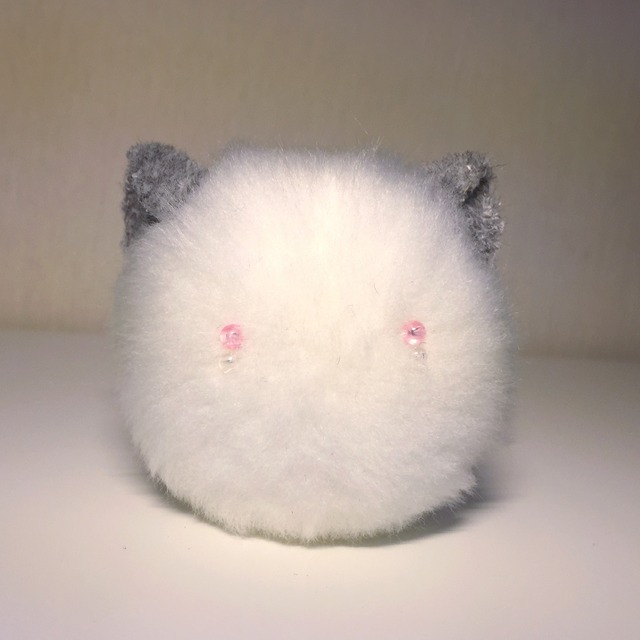 チンチラの赤ちゃん 白 ほろほろちゃん チンチラの赤ちゃん 白 ほろほろちゃん