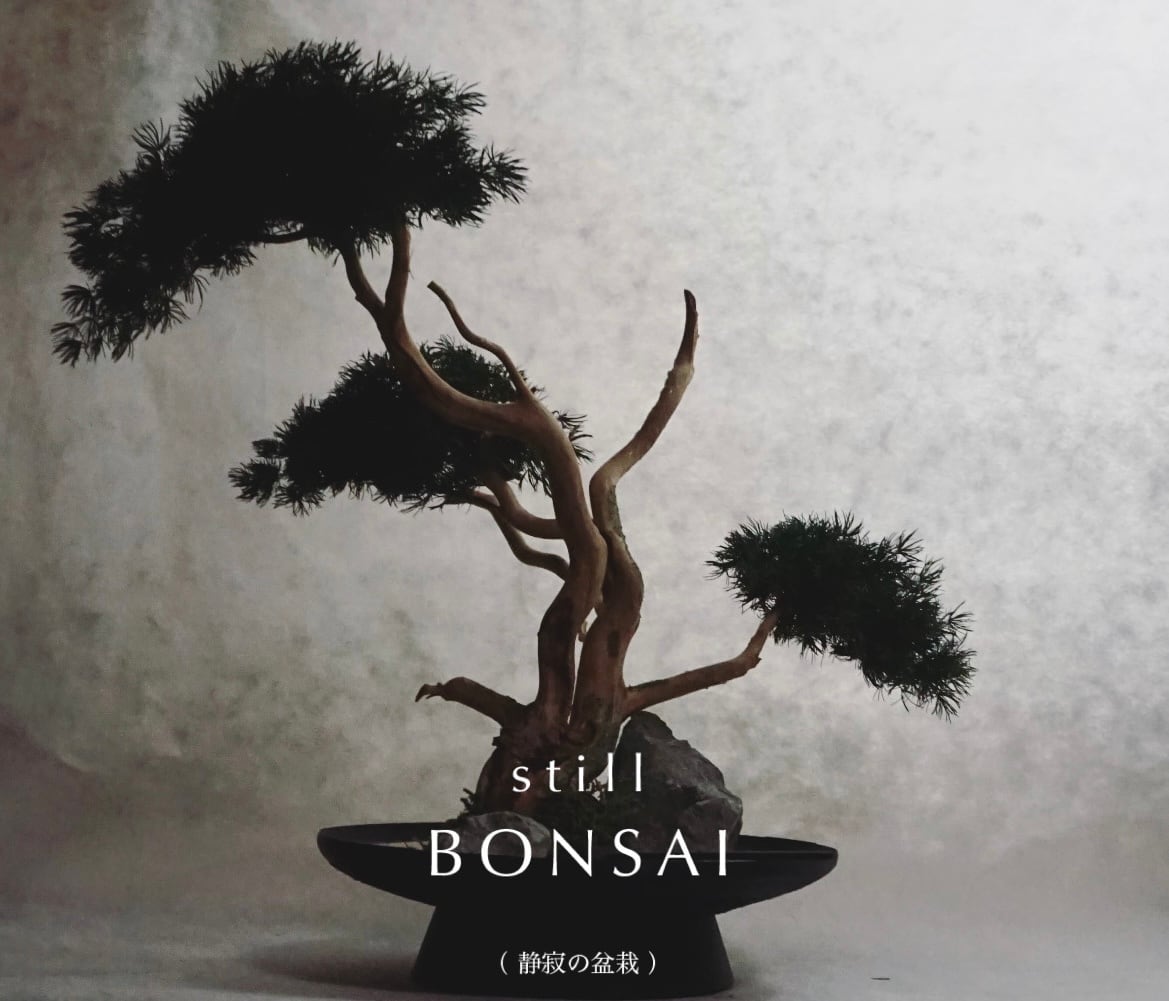 still BONSAI — 静寂の盆栽 00 | Pay ID