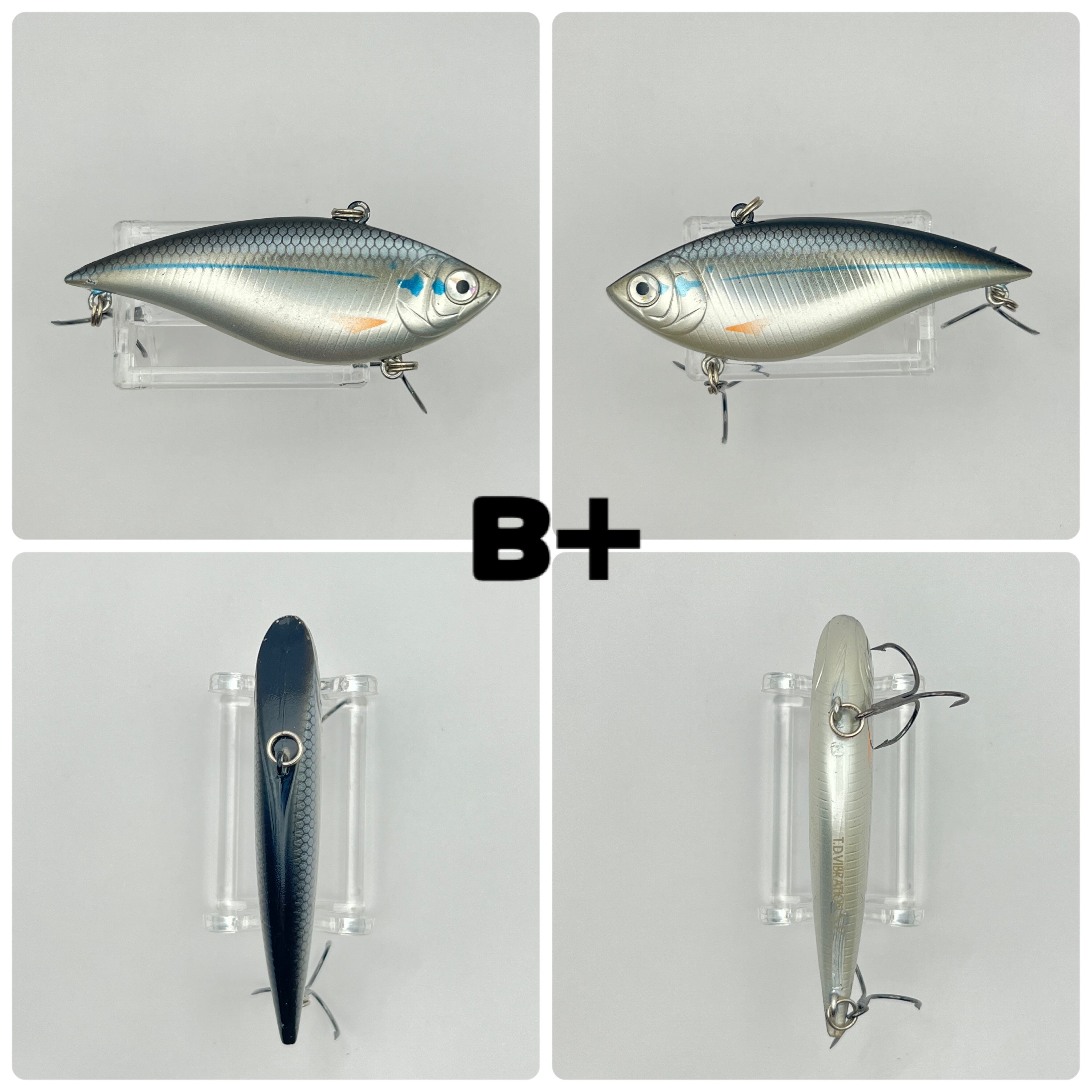 DAIWA | Outdate_hiddenroom