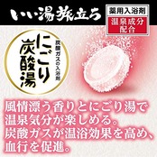 白元アース いい湯旅立ち にごり炭酸湯 ほんわか日和 48錠入 【大容量】 炭酸 入浴剤 温泉タイプ 薬用 詰め合わせ ギフト 個包装 保湿 疲労回復 日本製 医薬部外品
