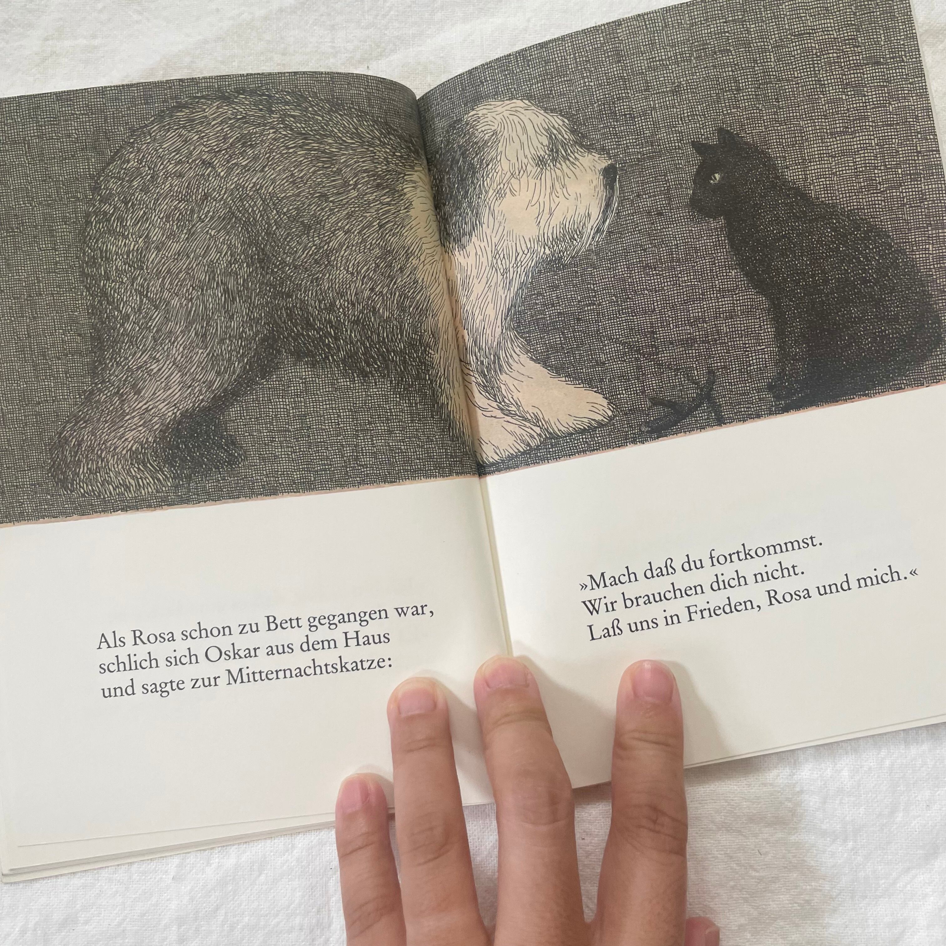 オスカーと真夜中のネコ