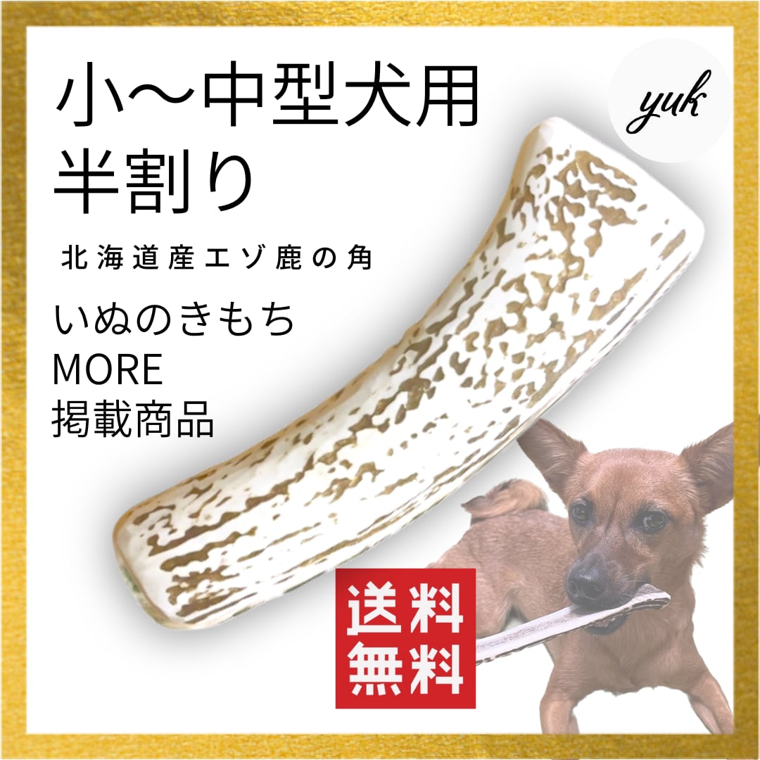 中〜大型犬用 半割り 北海道産エゾ鹿の角 犬のおもちゃ 【公式通販】