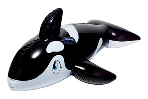 【特価処分】イガラシ シャチフロート（ブラック） 180×115cm