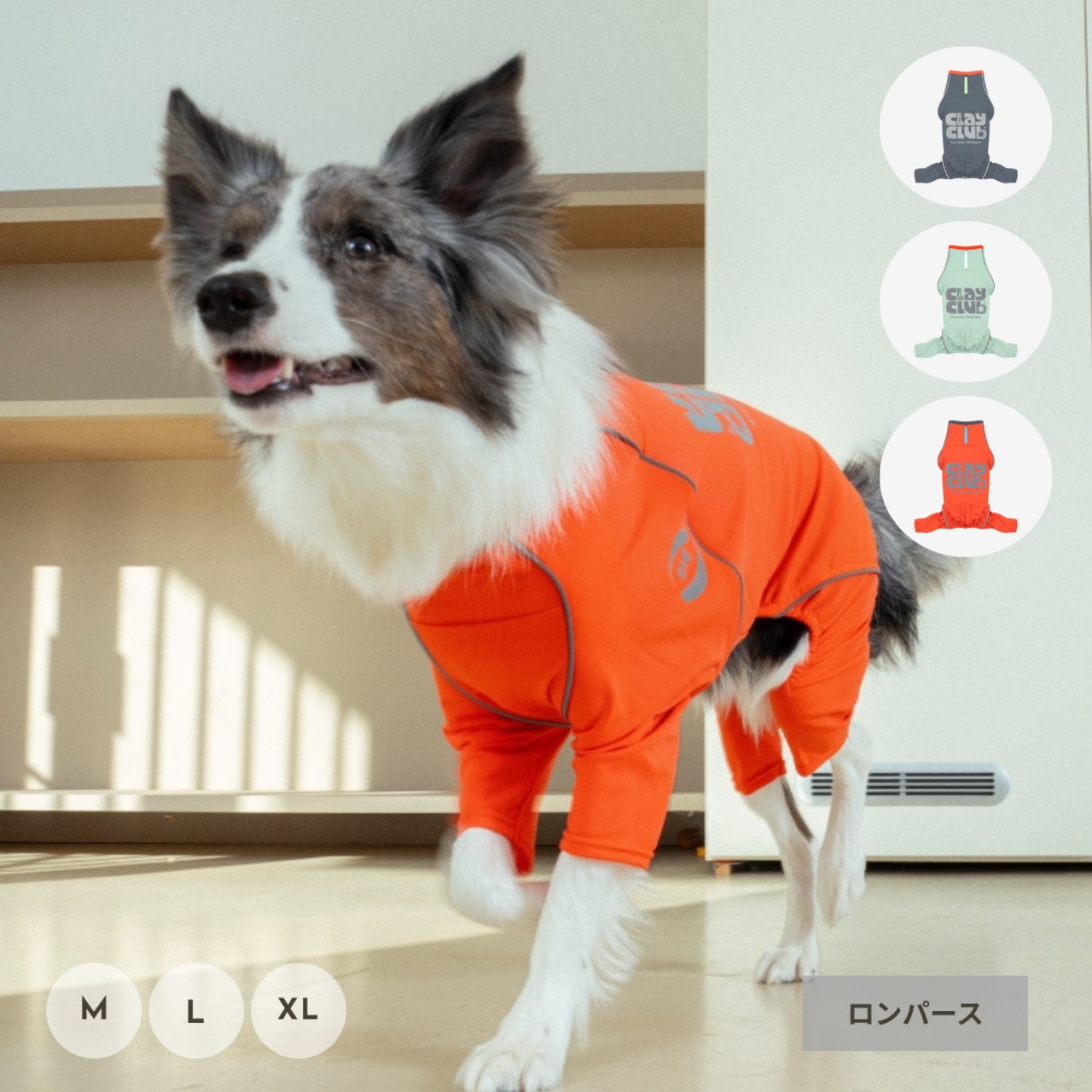【puppygallery公式】Essential Training Suit  (Standard leg) 　 M-XL