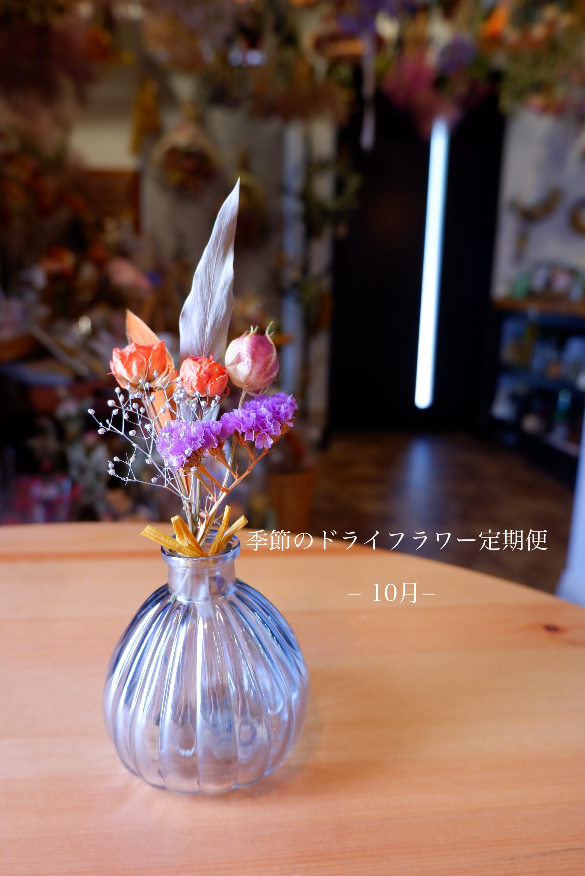 季節のドライフラワー定期便