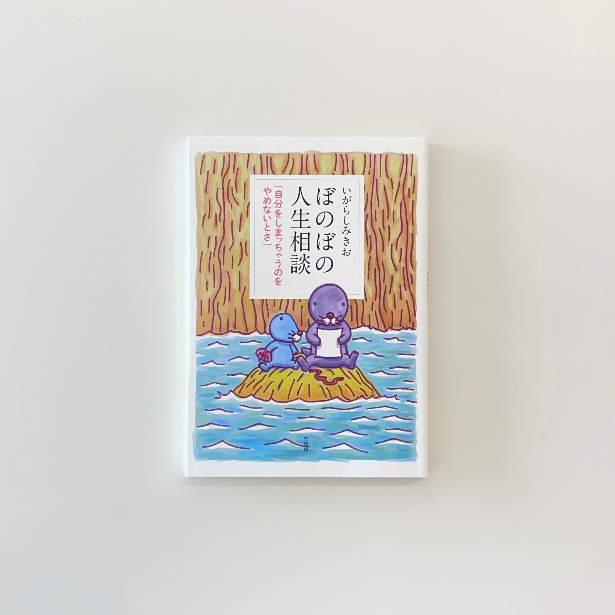 十六夜橋 新版｜石牟礼道子 | 本の栞