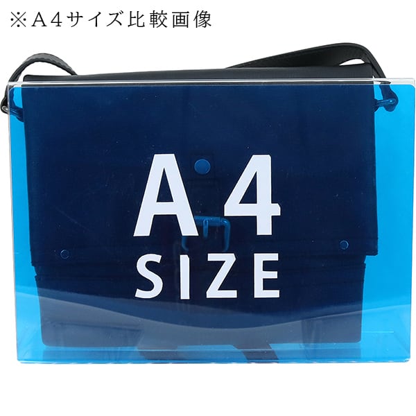 Unused LOUIS VUITTON ルイヴィトン ユタ キャニオンメッセンジャーPM