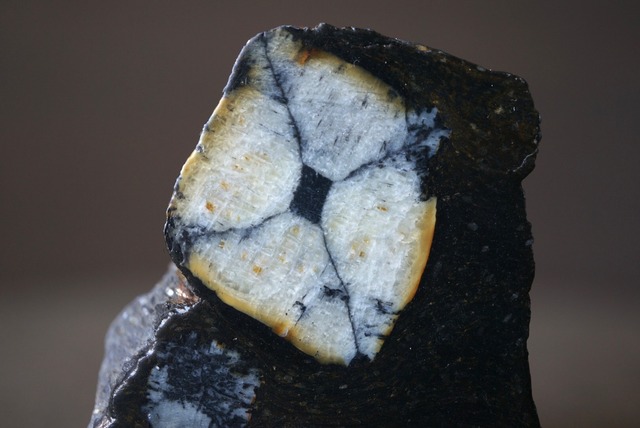 スペイン産キアストライト Chiastolite 1807