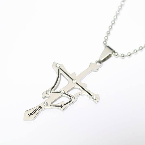 ステンレス 星座型プレートペンダント（牡牛座） ※チェーン付き