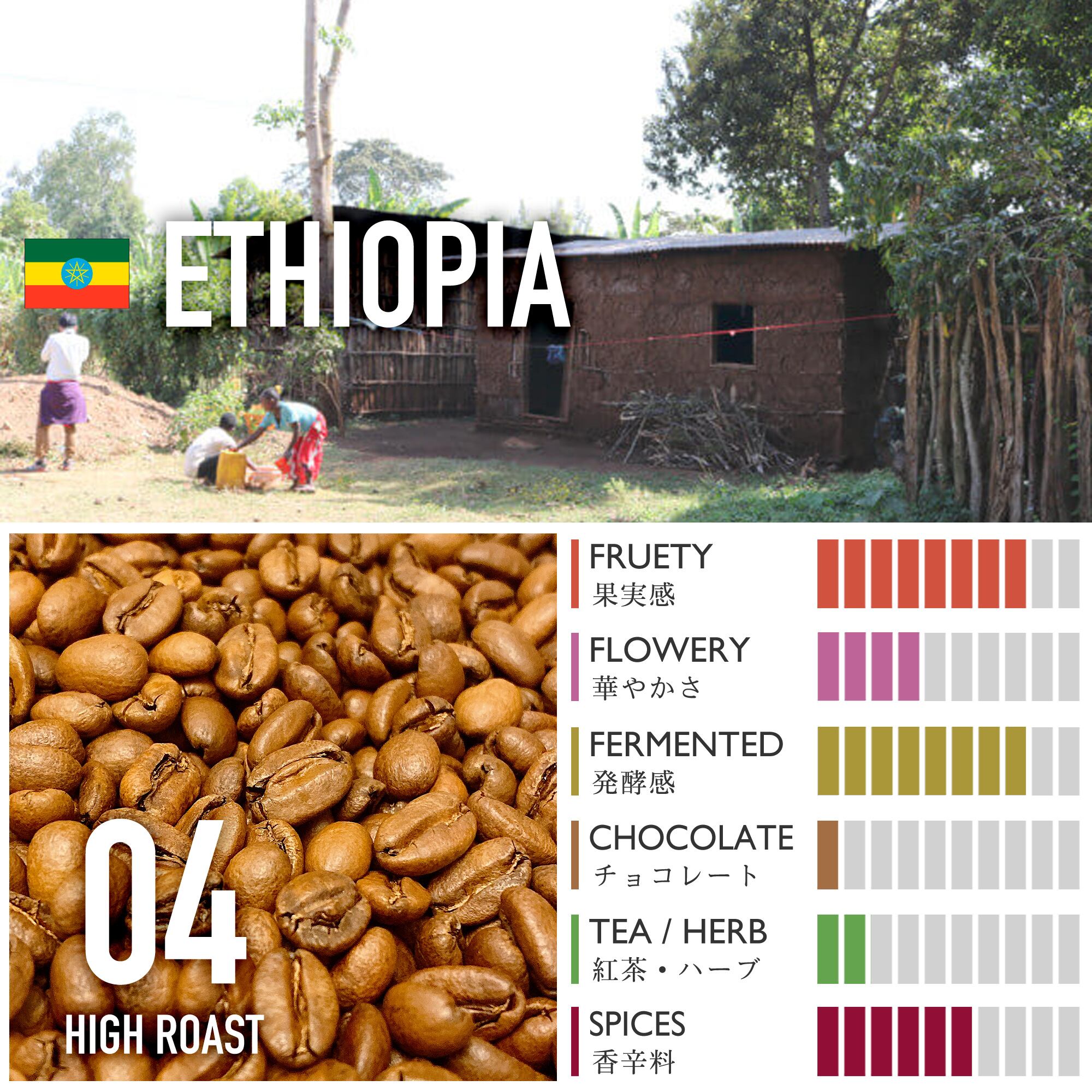 エチオピア/イルガチェフェG-1・ベロヤ・アナエロビック・ナチュラル【中煎り】