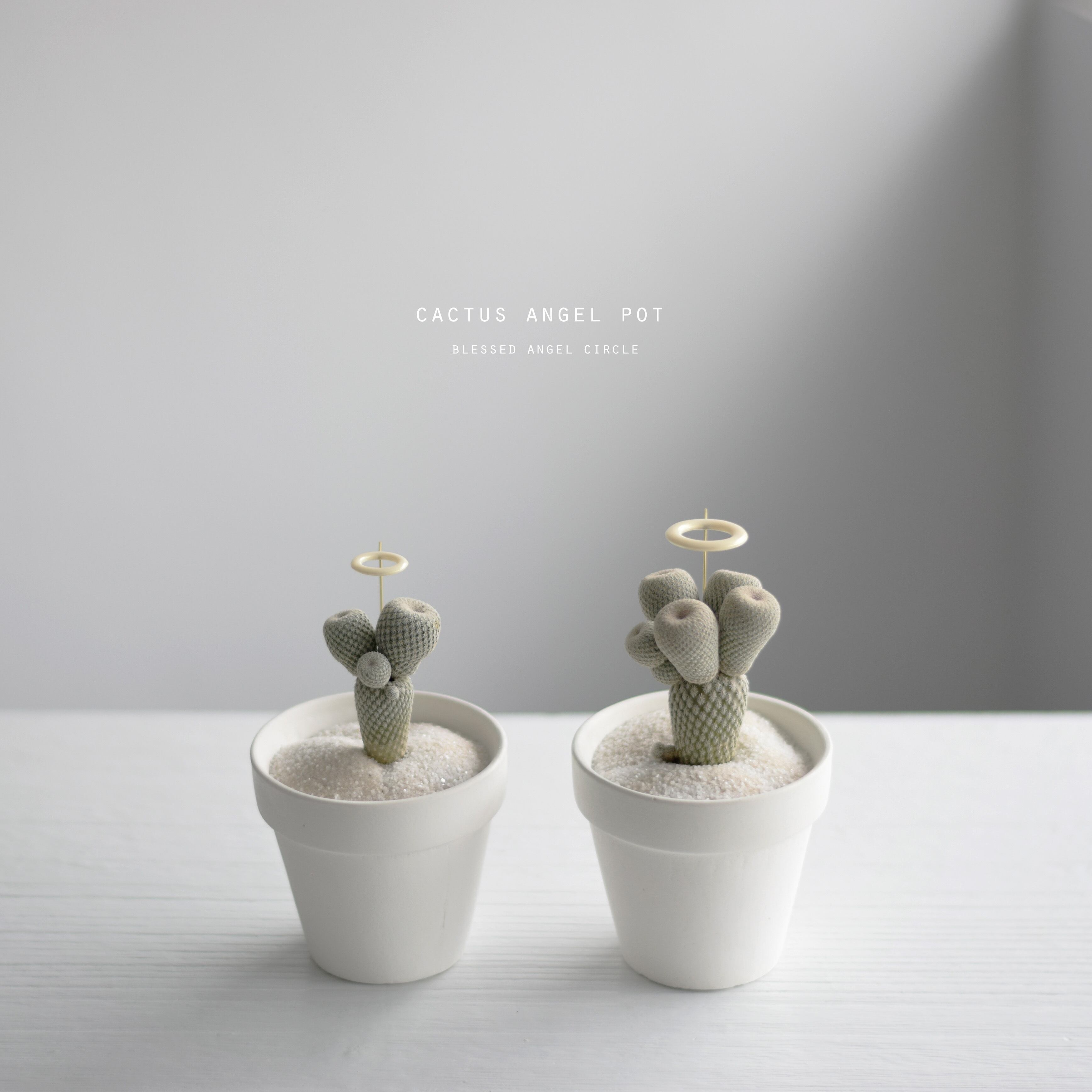 サボテン天使（モフモフ） | echidna