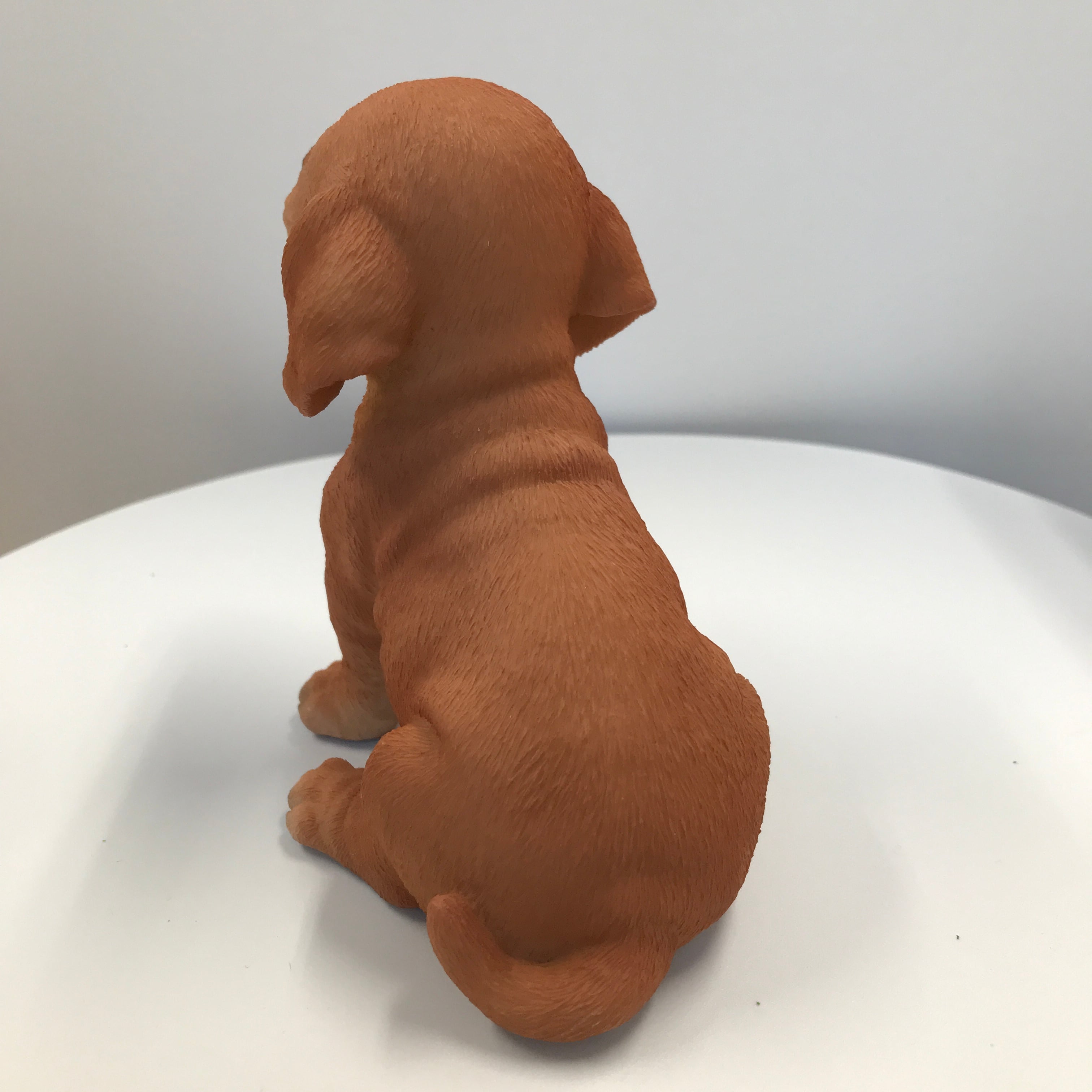 ダックスです ミニチュアダックス・ロング♂2512D1098 - YouTube