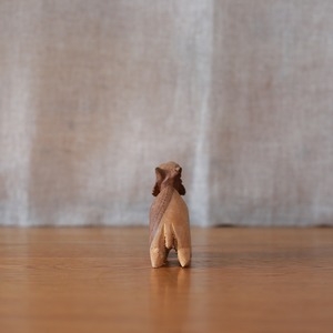 つぶらな瞳で、休憩中のラクダ B