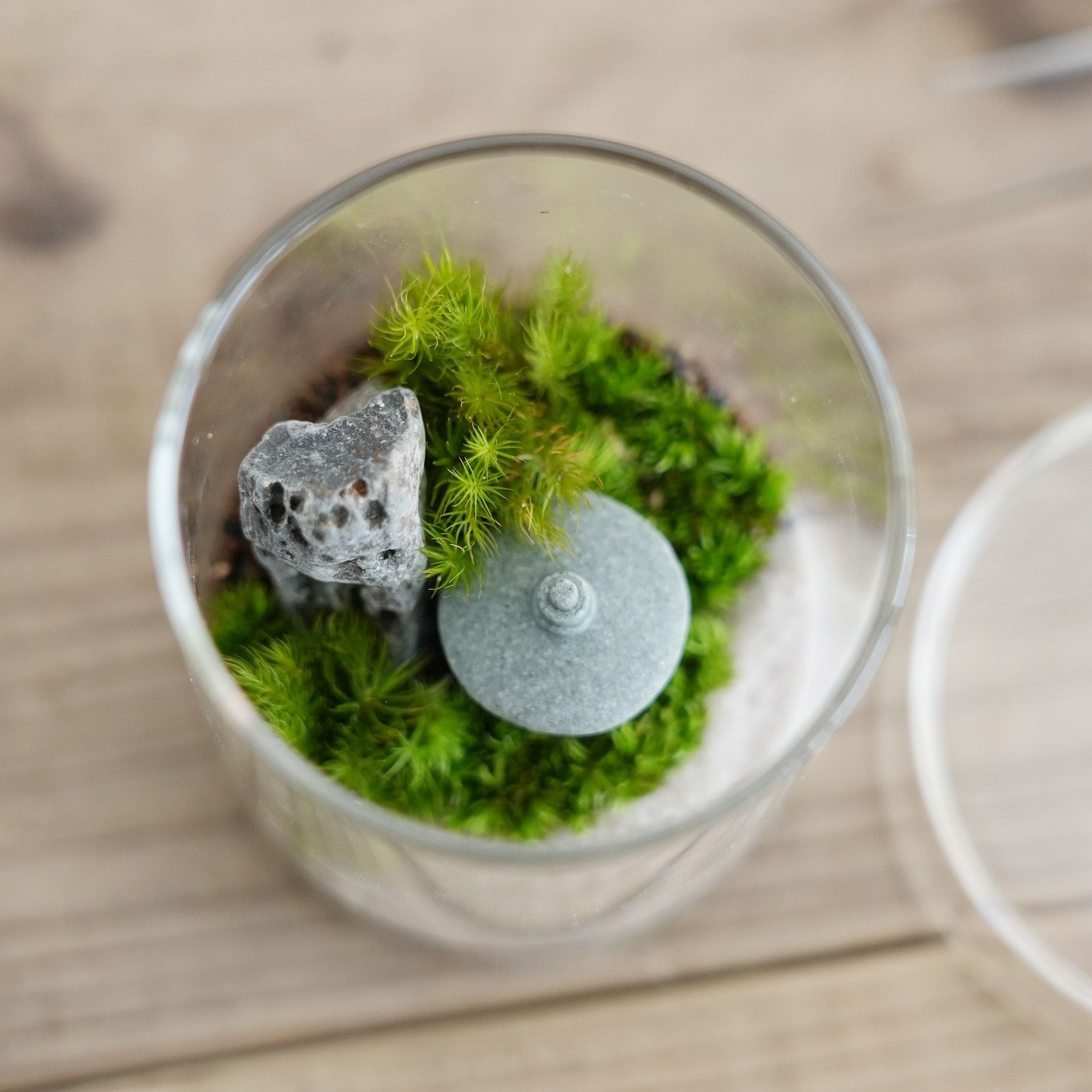 ミニチュアの世界】日本庭園の苔テラリウム シリンダー | 苔テラリウム