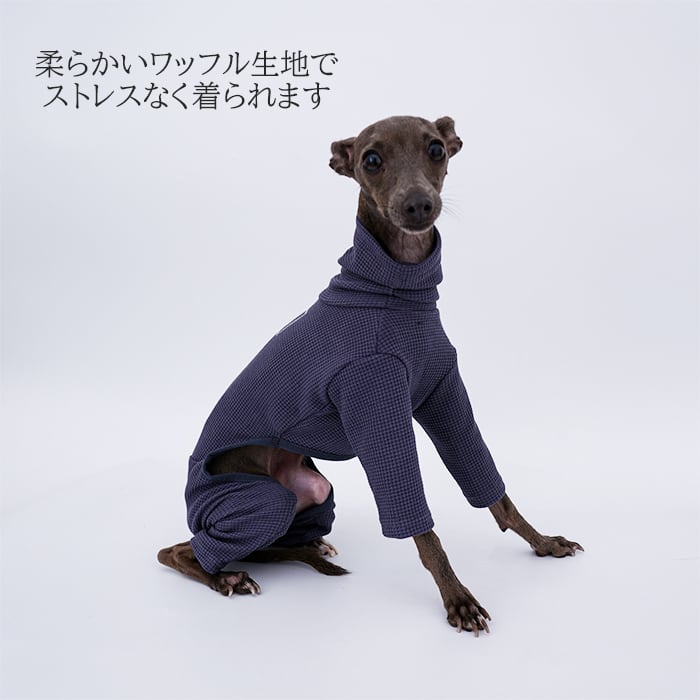 【送料無料】イタリアングレーハウンド 服 イタグレ おしゃれ 犬服 ハイネック ロンパース ワッフル生地 ベーシックオールインワン ドッグウェア 春秋  IG002OP | DearKM ❤︎フレンチブルドック孔明 powered by BASE