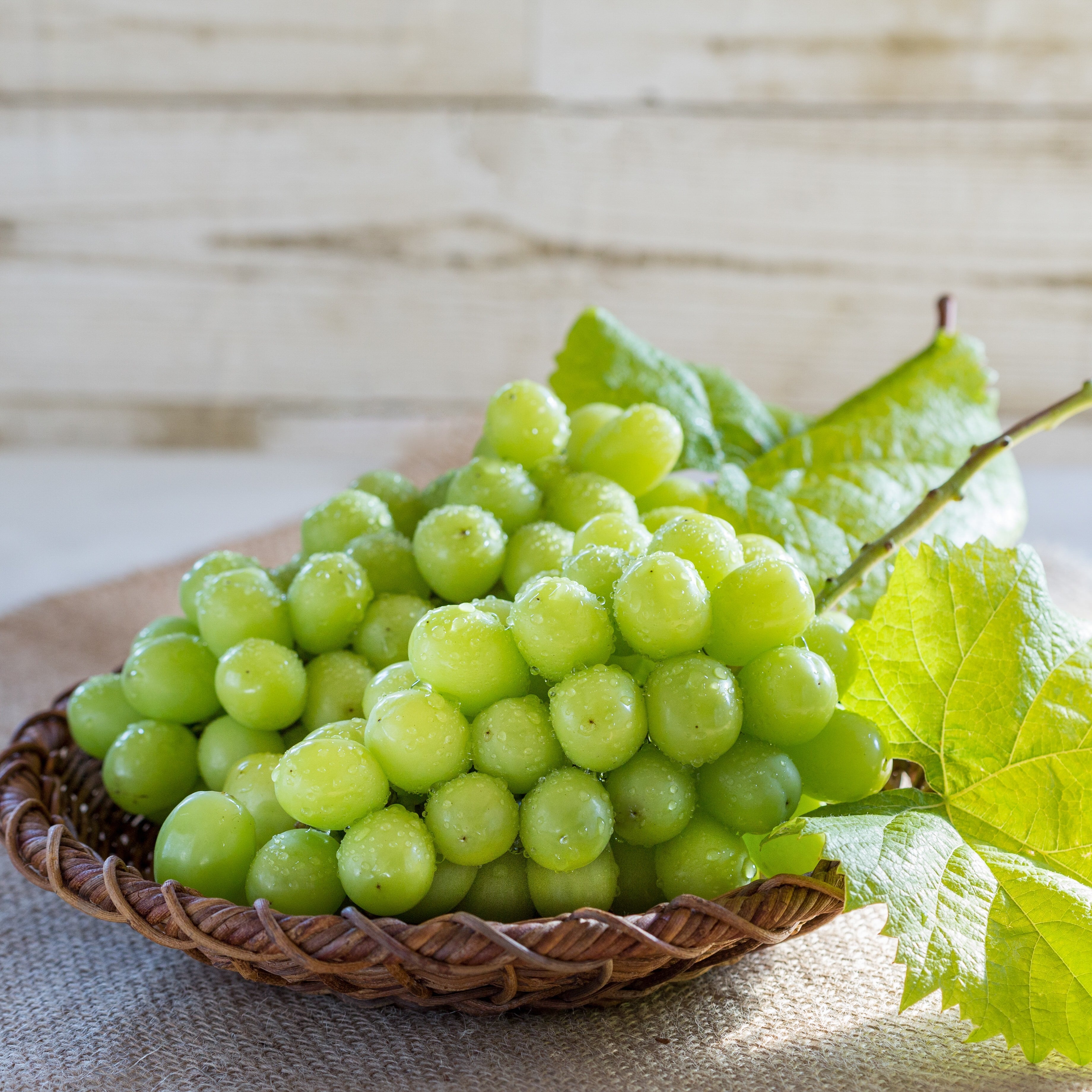 ☆9/20お引き渡し分【10房限定】=クリック＆コレクト＝店舗引取限定