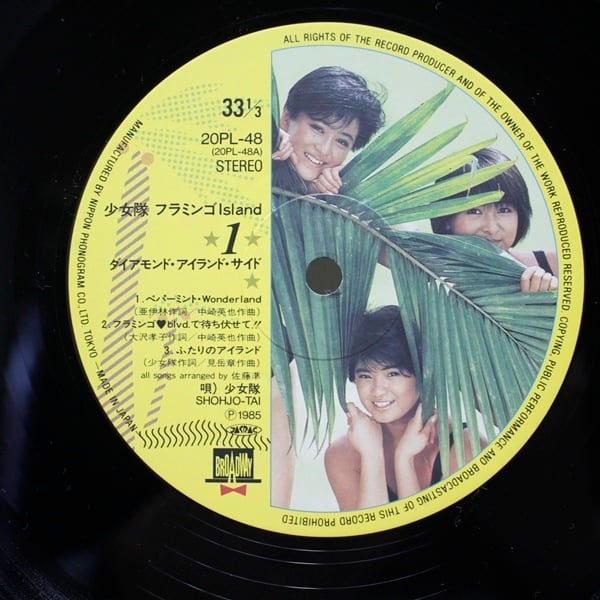 少女隊 / Flamingo Island  [20PL-48] - 画像3