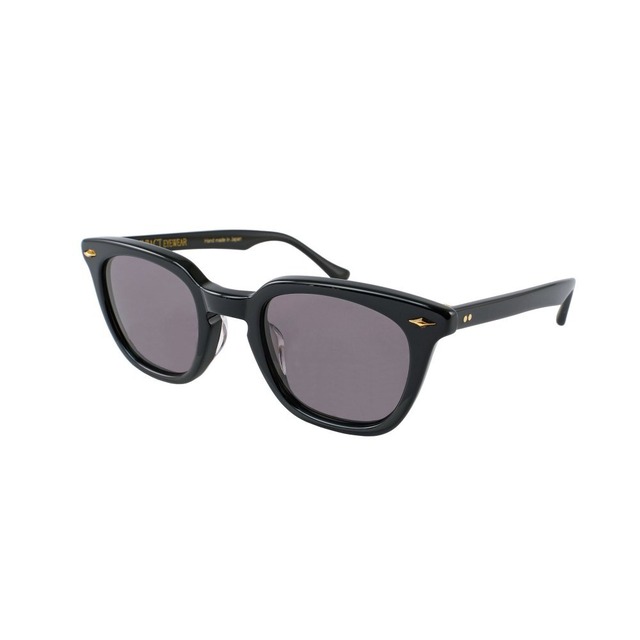 EVILACT eyewear " MERKEL black / smoke lens "