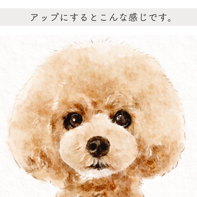 saw様専用ページ：イラストオーダー『mofu light』【L判サイズプリント付き！】