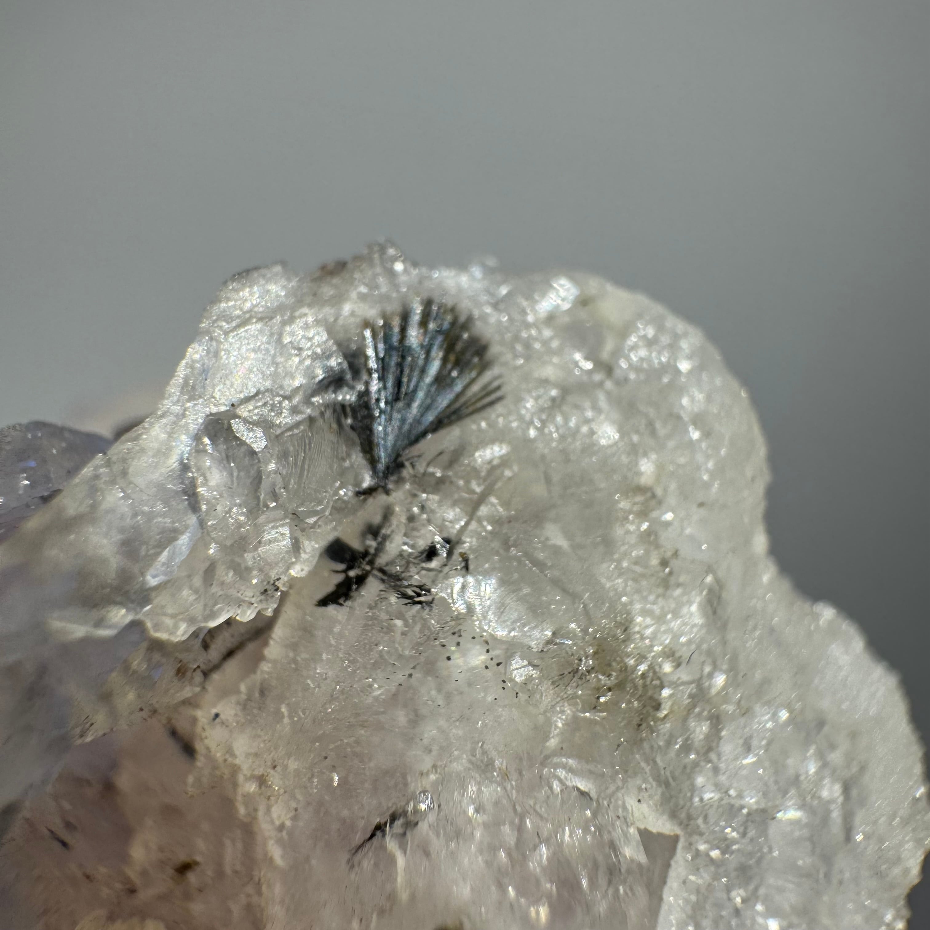 ポンデリングフローライト母岩付き＊ブドウ状蛍石原石＊251003＊天然石