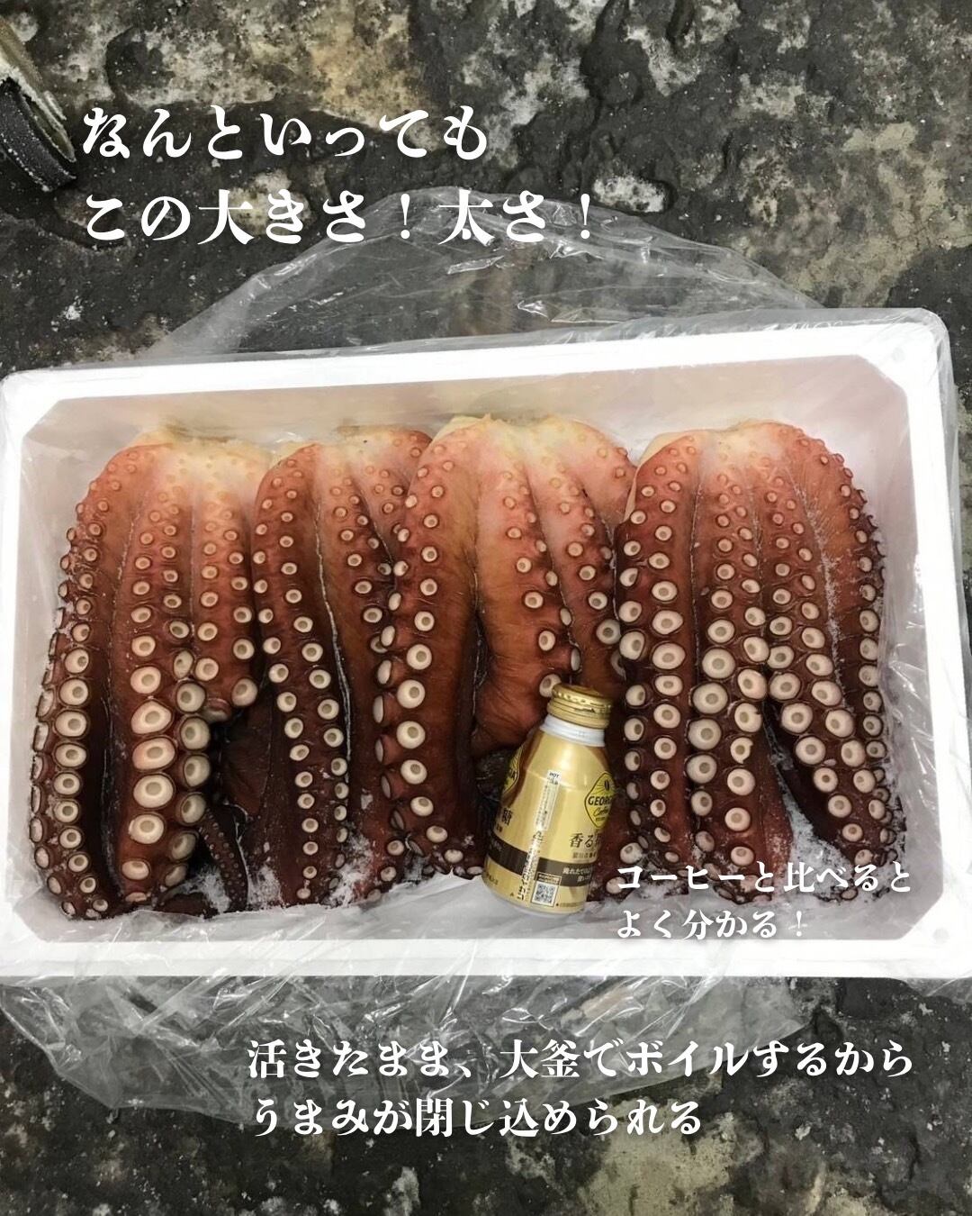 三石産タコ足ボイル大サイズ(2本足) | なまら新鮮北海道