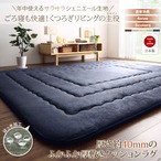 厚み40mmのふっくら厚敷きクッションラグ Vermeer フェルメル 190×260cm