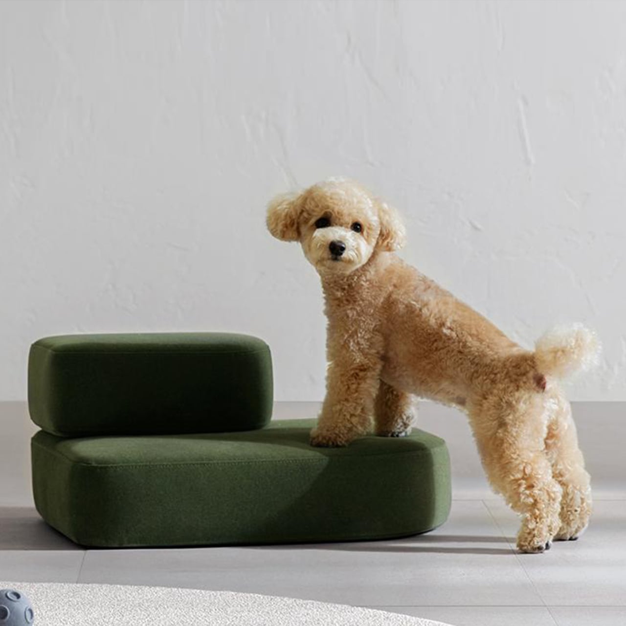 PET STEP（Nordic Fabric） / Alloso | PANNA HOUSE